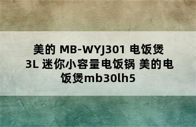 美的 MB-WYJ301 电饭煲 3L 迷你小容量电饭锅 美的电饭煲mb30lh5